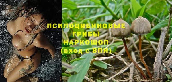 2c-b Богородицк