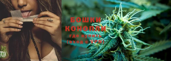 каннабис Богданович