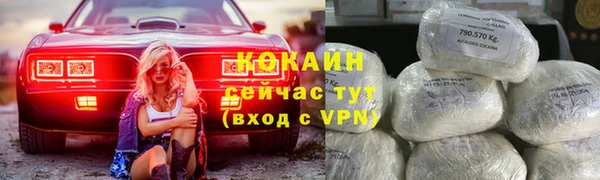 2c-b Богородицк