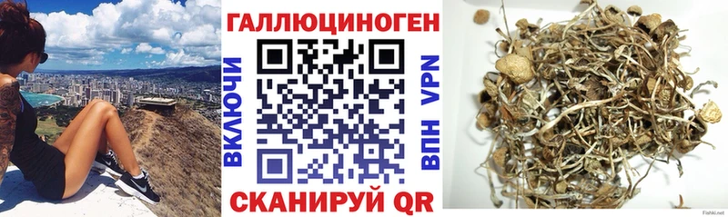 дарнет шоп  Пестово  Галлюциногенные грибы GOLDEN TEACHER 
